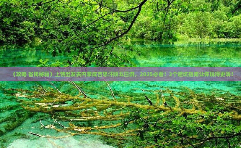 上饶去内蒙成吉思汗陵五日游