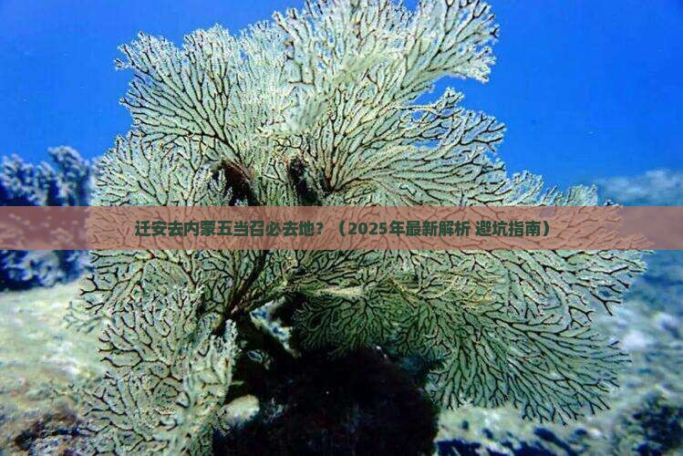 迁安去内蒙五当召必去地