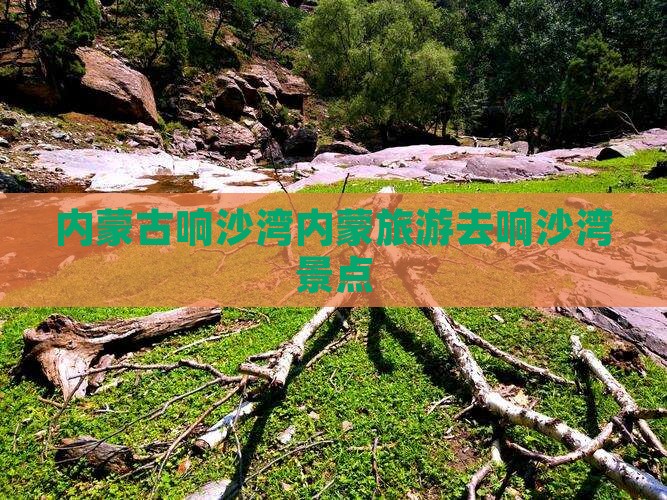 廊坊去内蒙响沙湾景点
