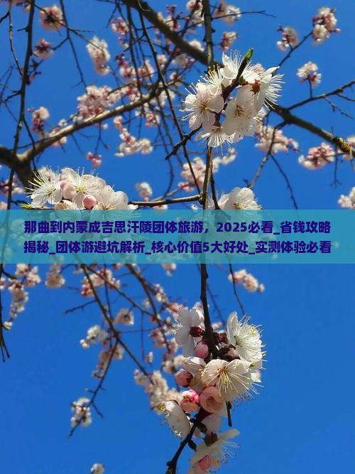 那曲到内蒙成吉思汗陵团体旅游