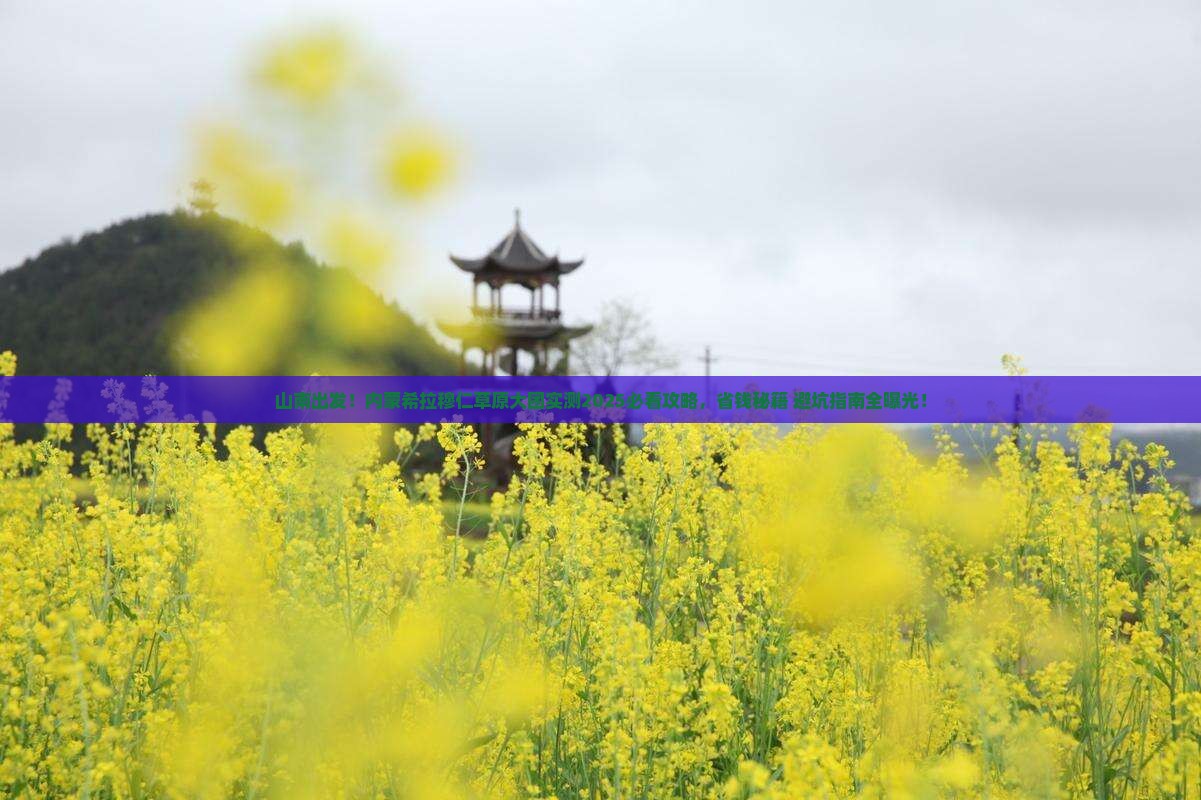 山南去内蒙希拉穆仁草原大型旅游团