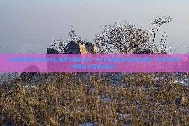 天津到内蒙乌兰哈达火山地质公园团体旅游