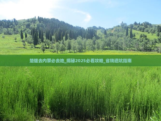 楚雄去内蒙必去地