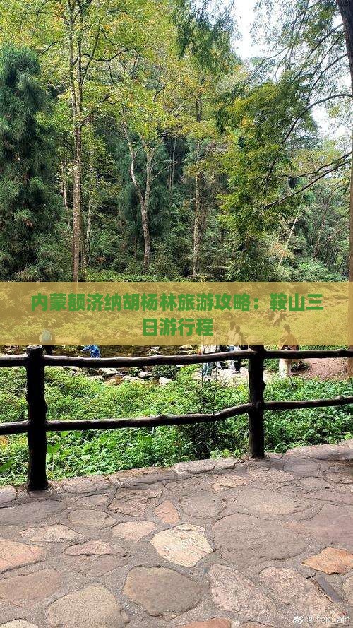 鞍山到内蒙额济纳胡杨林三日游