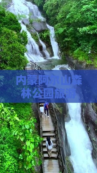 温州到内蒙阿尔山国家森林公园四日游