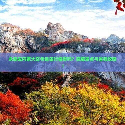 永新去内蒙大召寺自由行