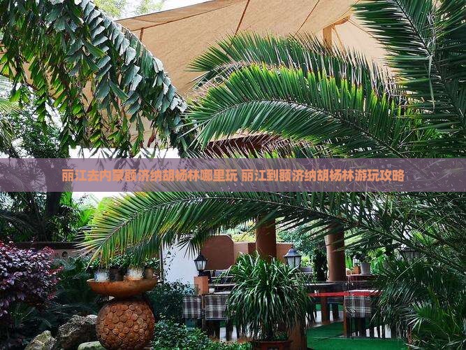 丽江去内蒙额济纳胡杨林哪里玩
