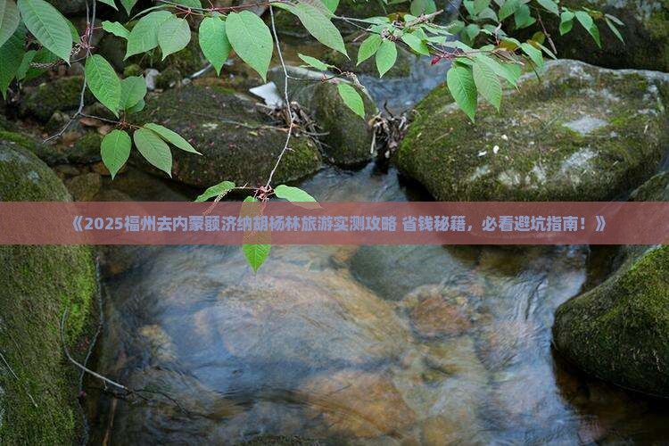 福州去内蒙额济纳胡杨林旅游