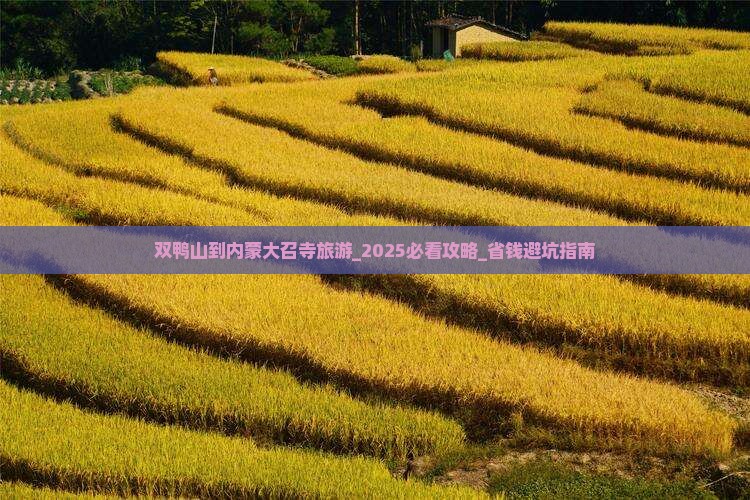 双鸭山到内蒙大召寺旅游