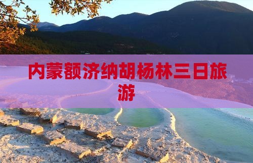 安庆去内蒙额济纳胡杨林三日游
