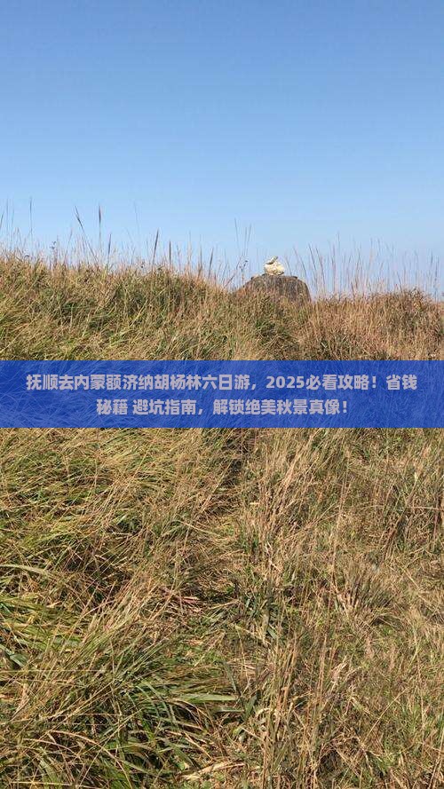 抚顺去内蒙额济纳胡杨林六日游