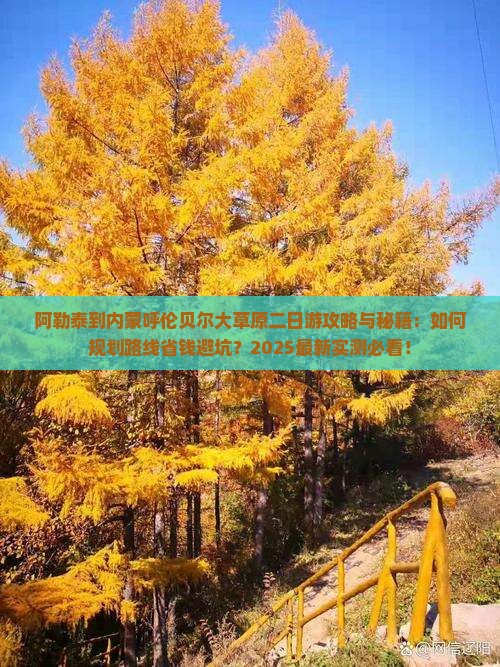 阿勒泰到内蒙呼伦贝尔大草原二日游 阿勒泰到内蒙呼伦贝尔大草原二日游