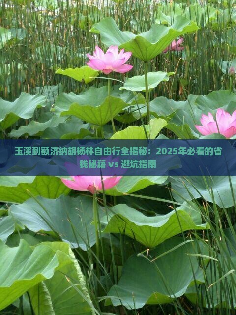 玉溪到内蒙额济纳胡杨林自由行