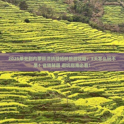 莱芜到内蒙额济纳胡杨林旅游