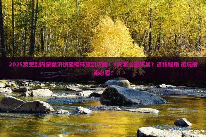 莱芜到内蒙额济纳胡杨林旅游