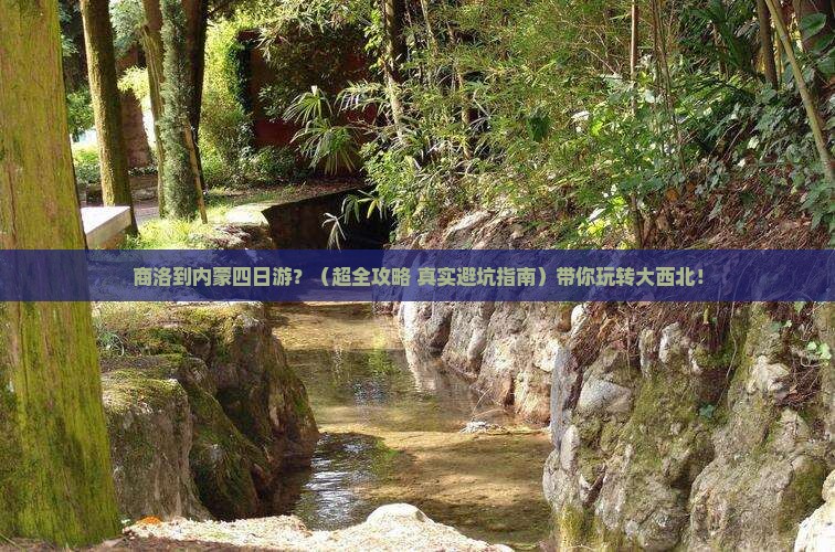 商洛去内蒙四日游 商洛去内蒙四日游