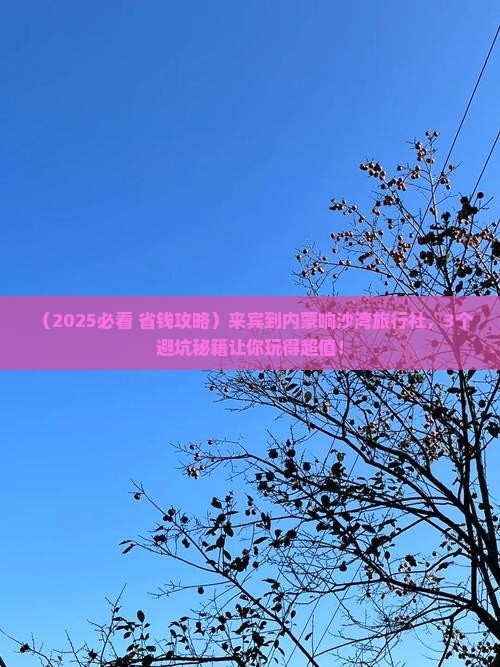 来宾到内蒙响沙湾旅行社