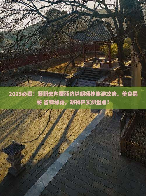 襄阳去内蒙额济纳胡杨林旅游小吃