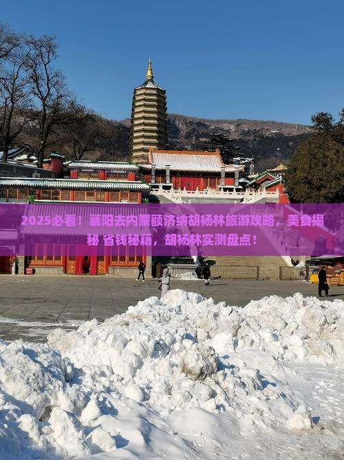 襄阳去内蒙额济纳胡杨林旅游小吃