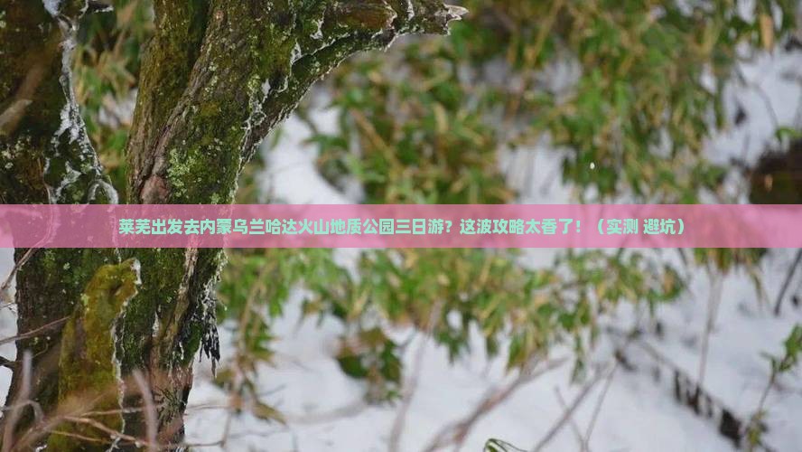 莱芜去内蒙乌兰哈达火山地质公园三日游