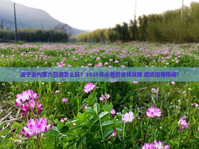 遂宁去内蒙六日游