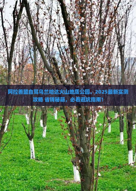阿拉善盟到内蒙乌兰哈达火山地质公园哪里玩
