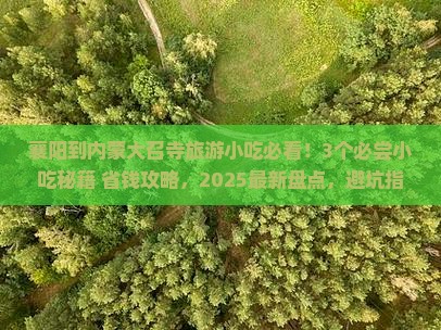 襄阳到内蒙大召寺旅游小吃