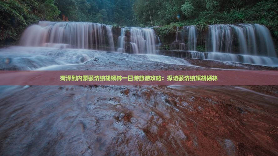 菏泽到内蒙额济纳胡杨林一日游