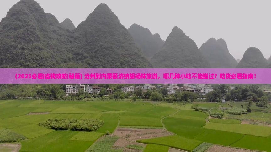 沧州到内蒙额济纳胡杨林旅游小吃