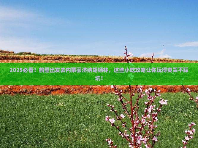 鹤壁去内蒙额济纳胡杨林旅游小吃