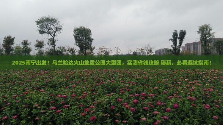 南宁到内蒙乌兰哈达火山地质公园大型旅游团