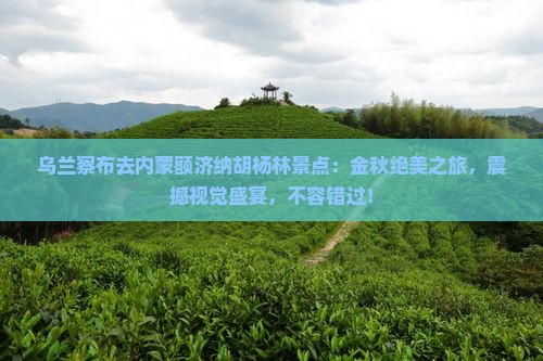 乌兰察布去内蒙额济纳胡杨林景点