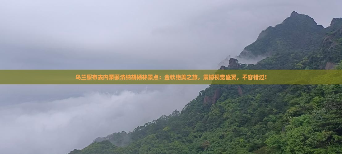 乌兰察布去内蒙额济纳胡杨林景点