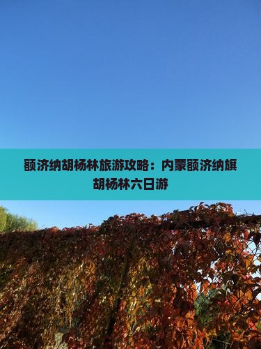 武威去内蒙额济纳胡杨林六日游