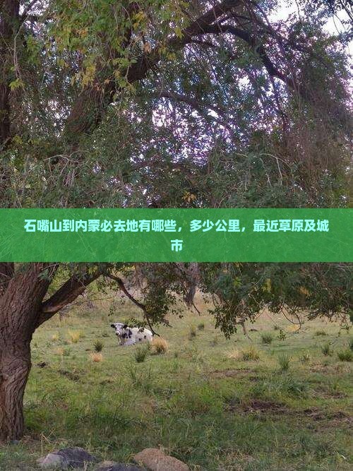 石嘴山到内蒙必去地