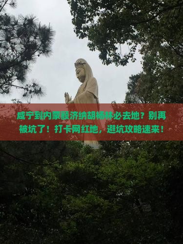 咸宁到内蒙额济纳胡杨林必去地