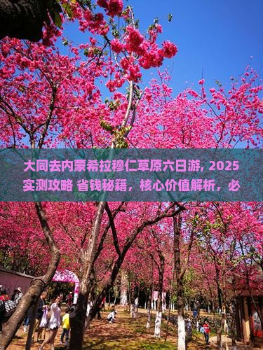 大同去内蒙希拉穆仁草原六日游