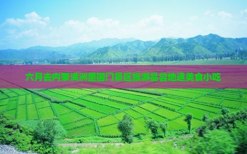 六月去内蒙满洲里国门景区旅游小吃