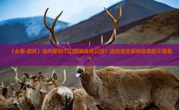 白银去内蒙阿尔山国家森林公园必去地