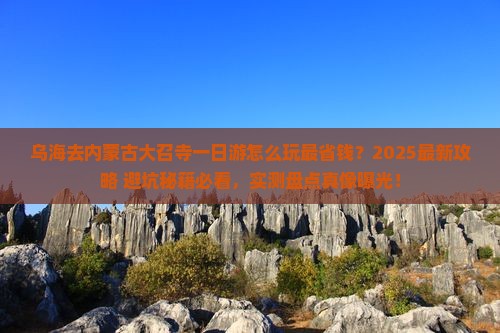 乌海去内蒙大召寺一日游