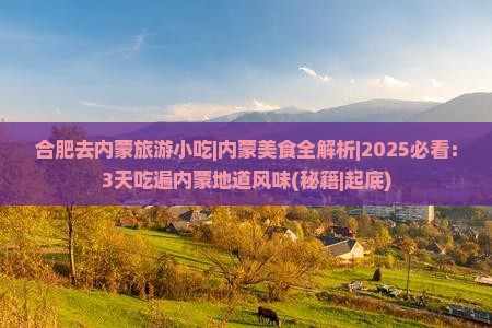 合肥去内蒙旅游小吃