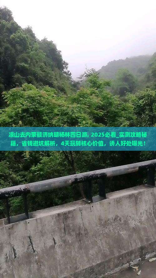 凉山去内蒙额济纳胡杨林四日游