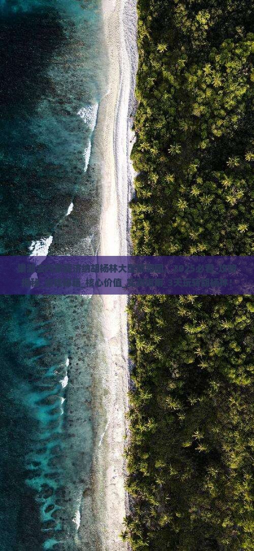巢湖去内蒙额济纳胡杨林大型旅游团