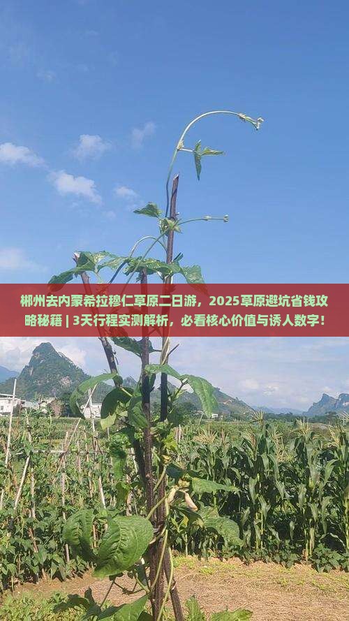 郴州去内蒙希拉穆仁草原二日游