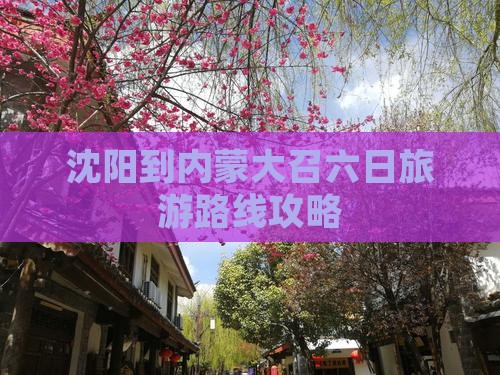 沈阳到内蒙大召寺六日游