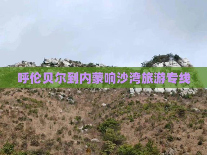 呼伦贝尔到内蒙响沙湾旅行社