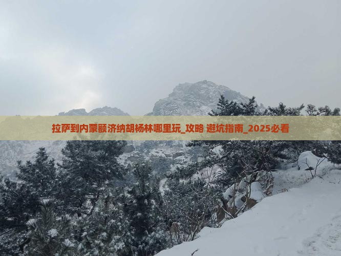 拉萨到内蒙额济纳胡杨林哪里玩