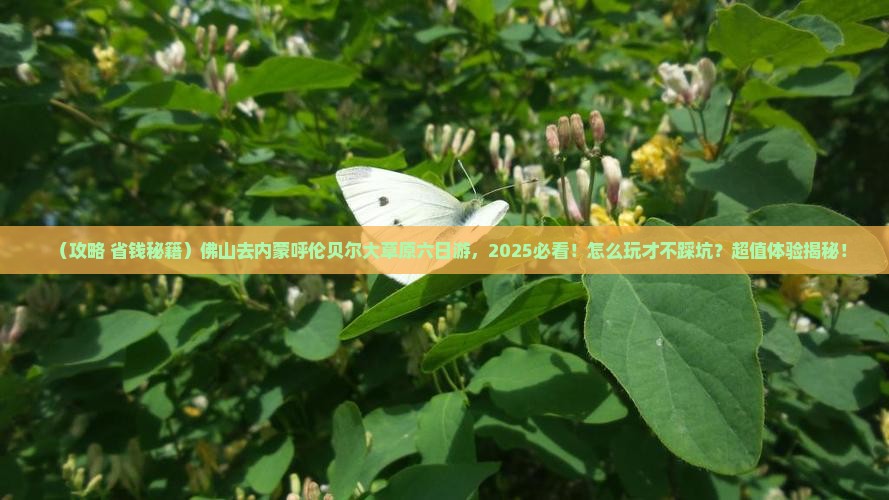 佛山去内蒙呼伦贝尔大草原六日游
