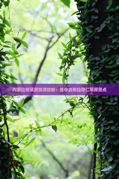 晋中去内蒙希拉穆仁草原景点
