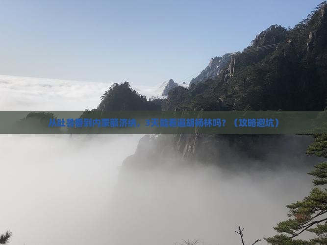 吐鲁番去内蒙额济纳胡杨林自由行